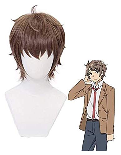 LINLINCD-Wig Anime Cosplay Azusagawa Sakuta Perücke Cosplay Kostüm Rascal Does Not Dream of Bunny Girl Senpai Hitzebeständiges Haar Halloween Party Perücken KEEBON von LINLINCD