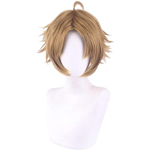 LINLINCD-Wig Anime Cosplay Rudeus Greyrat Cosplay Anime Jobless Reincarnation Mushoku Tensei Role Playing Costumes for Halloween Short Brown Synthetic Wig von LINLINCD