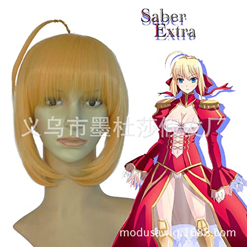 LINLINCD-Wig Anime Cosplay Schicksal Nacht Artolia.Pandragon Cosplay False Anime COS Pseudo Paket Demolition LINLINCD-Wig Anime Cosplay Schicksal Nacht Artolia.Pandragon Cosplay False Anime COS Pseudo Paket Demolition von LINLINCD