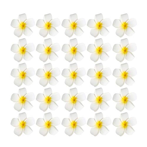 LIOOBO Packung mit 25 Simulationsblumen Haarspange Frangipani Haarnadeln Brautspange für Frauen Mädchen Damen von LIOOBO