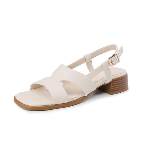 LISYIIZ Damen SS1007 Flache Sandale mit Niedrig Spitze Synthetik Schnalle Elfenbein - 34 EU LISYIIZ Damen SS1007 Flache Sandale mit Niedrig Spitze Synthetik Schnalle Elfenbein - 34 EU von LISYIIZ