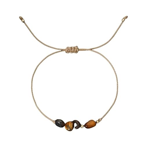 LIUYUYOUGO Chakra Armband Sternzeichen Kristallarmband Für Frauen Unregelmäßige Natursteinperlen Geburtsstein Armbänder 12 Sternbilder Edelstein Charm Handgefertigt Geflochtener Armreif Freundsc von LIUYUYOUGO