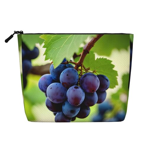 LIXLZH Tragbare Reise-Kosmetik-Make-up-Tasche, einlagig, Make-up-Organizer mit Reißverschluss, Schwarz, Einheitsgröße, Schwarz, Einheitsgröße, Schwarz , Einheitsgröße von LIXLZH