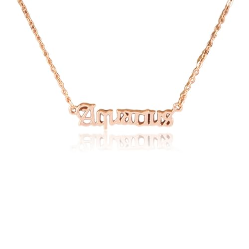 LIXSAZSE Englisch Buchstabe Zwölf Sternzeichen Konstellationen Thema Freundschaft Halskette Ins Schmuck Kette Charm DIY Chic Anhänger Roségold, Wassermann von LIXSAZSE