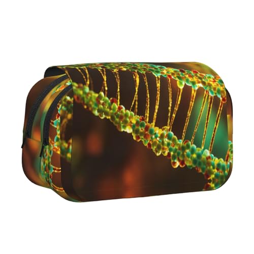 LJABCVNN DNA-Ketten-Fotodruck, doppeltes Klapp-Federmäppchen, 2-lagiges Federmäppchen mit Reißverschlusstaschen, für Jungen und Mädchen von LJABCVNN