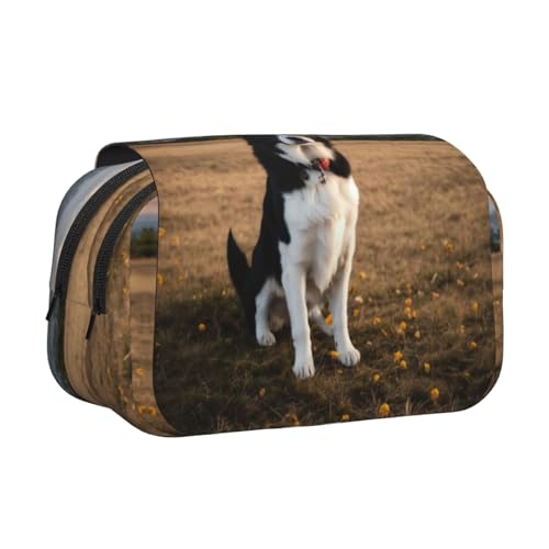LJABCVNN Federmäppchen mit Hunde-Aufdruck, doppeltes Klappetui, 2-lagiges Federmäppchen mit Reißverschlusstaschen, für Jungen und Mädchen von LJABCVNN