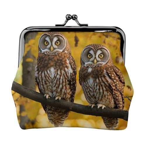 Süße braune Cartoon-Eulen-Druck Damen Mikrofaser Leder Kiss Lock Münzbörse Mini Geldbörse für Karten und Lippenstift von LJABCVNN