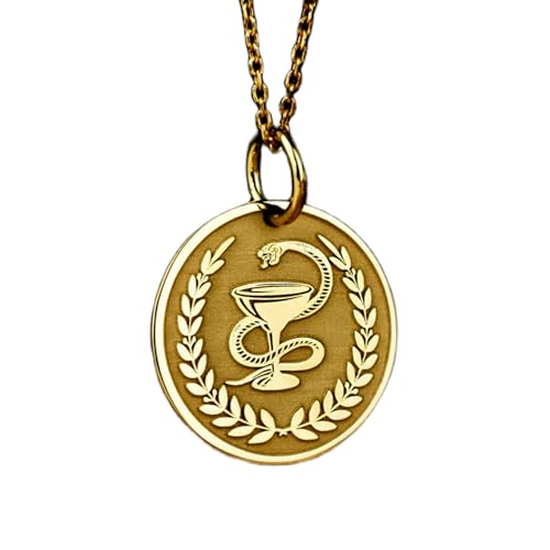 Halskette aus 925er Sterlingsilber| 28 mm 18-Zoll-Kette Anhänger für Apotheker Schmuck mit einer Schale Hygieia Symbolanhänger Abschlussfeier eines Medizinstudenten Vergoldung| handgefertigt LG_00820 von LKBEADS