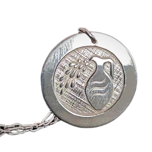 LKBEADS 925 Sterling Silber | Halskette mit Wassermann-Anhänger | Tierkreis-Medaillon | mit 18 Zoll Kettenstift. Größe: 24 mm | Horoskop, Tierkreis, versilbert, Unisex | LKRPS_00312 von LKBEADS