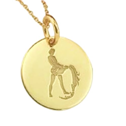 LKBEADS 925 Sterling Silber Luxus Anhänger 22mm, Ohne Kette, Wassermann Sternzeichen, Zarter Charm, Scheibe, vergoldeter handgefertigter Schmuck|LK_OPC_01754 von LKBEADS