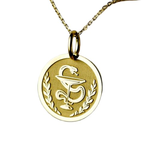 LKBEADS 925 Sterling Silber Luxus Anhänger 28mm, ohne Kette, Schale der Hygiene, Apotheker, Pharmaziestudent, Schutz, Medizinisches Medaillon, vergoldeter handgefertigter Schmuck|LK_OPC_00647 von LKBEADS