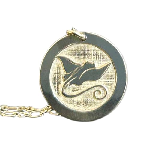 LKBEADS 925 Sterling Silber | Mantarochen-Halskette | Stachelrochen-Medaillon | mit 18 Zoll Kettenstift. Größe: 24 mm | Charm-Scheibe mit Gravur, versilberter Anhänger, Unisex | LKRPS_00311 von LKBEADS