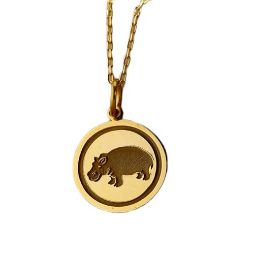 LKBEADS Halskette aus 925er Sterlingsilber| 24 mm 18-Zoll-Kette Nilpferd-Halskette Hippocampus-Anhänger Geburtstag Frau handgefertigter Schmuck mit Vergoldung L_01021 von LKBEADS