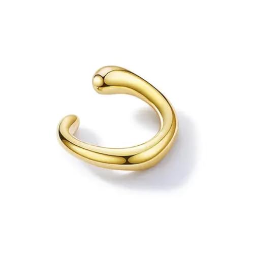 Ohrringe für Damen, Schmuck, 925 Ohrclips, zeigen Sie Ihre Schönheit, vielseitig, modisch und exquisit, zweifarbig, einfach glänzende Clips, kein Piercing, Einstellbar, Acryl von LKSXZASBB