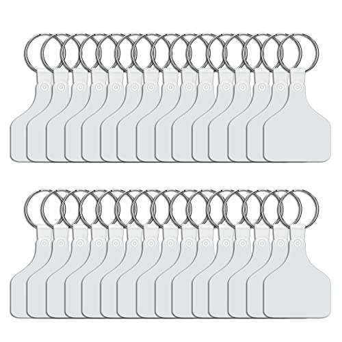 LLINthy 30pcs Wärmeübertragung Doppelseitiger Sublimation Druckschlüsselketten Für Wärmepressmaschine Für Kreative G Sublimation Blankelschlüsselkasten Doppelseitigseitig von LLINthy