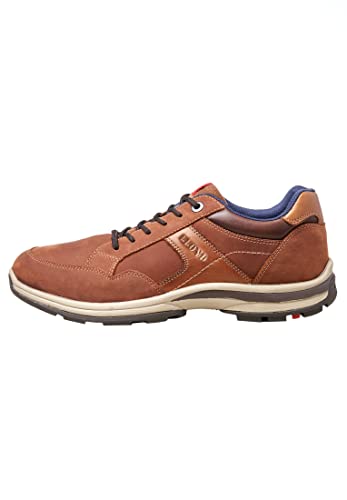 LLOYD Herren Schnürschuhe Ensor, Männer Bequemschuhe,lose Einlage,Komfortschuhe,Halbschuhe,schnürschuhe,schnürer,Desert/New Nature,44.5 EU / 10 UK von LLOYD