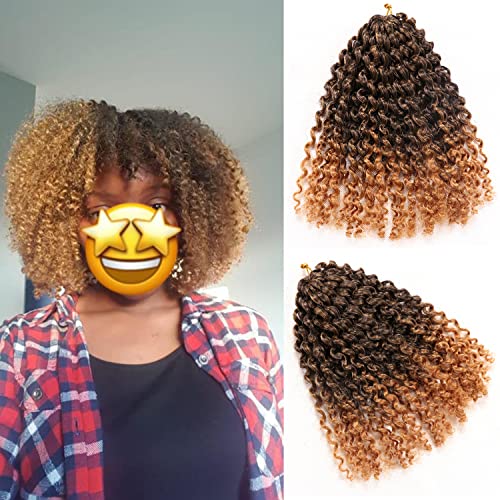 LLZBEAUTYHair Marlybob Passion Twist Hair Marlybob Crochet Braids Hair Marly Twist Crochet Hair Short Crochet Hair Extensions für schwarze Frauen (20,3 cm (9 Bündel), #T-27), 6 Stück von LLZBEAUTYHair
