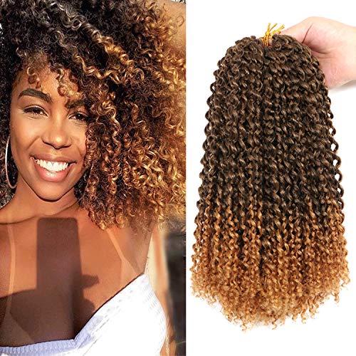 8Bundles Passion Twist Marlybob Kinky Curly Crochet Braids – kurze gehäkelte Haarverlängerungen für schwarze Frauen (25,4 cm, #T-27) von LLZBEAUTYHair