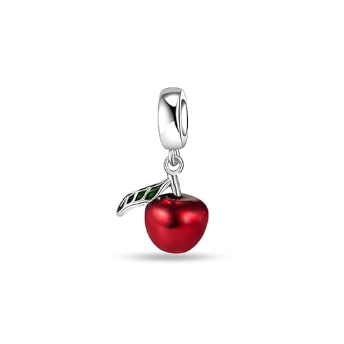 LMLMECREA Charms Anhänger Damen 925 Sterling Silber - Perlen für Schmuckarmbänder - Pandora-kompatible Beads LMLMECREA Charms Anhänger Damen 925 Sterling Silber - Perlen für Schmuckarmbänder - Pandora-kompatible Beads von LMLMECREA