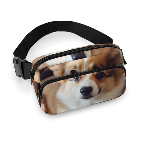 Gürteltasche für Damen und Herren, niedliche Corgi-Hüfttasche, wasserdichte Hüfttasche, Handytasche, Süße Corgi, 20x13cm, Art déco von LMNGH