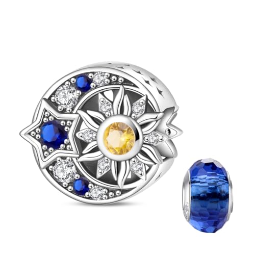 LNQOBU 925 Sterling Silber Charms für Armbänder und Schildkröten-Charme Musik Charms Perlen Schmuck Geschenk für Frauen Mädchen von LNQOBU