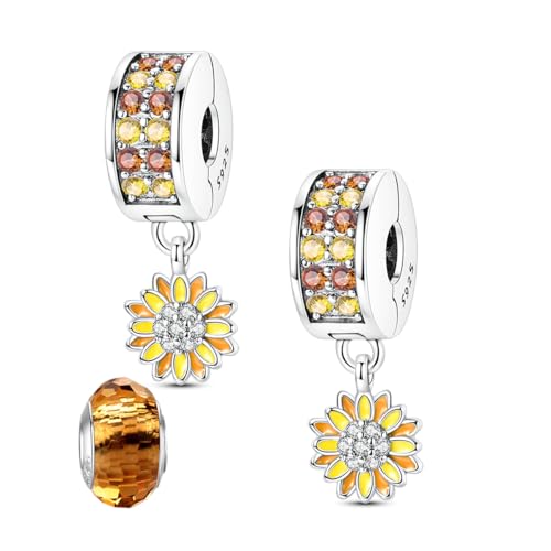 LNQOBU Clip/Stopper Charme für Armband 925 Sterlingsilber Pave Cubic Zirkonia Charms Bead Star Moon Charm Blauer Schmetterling Charm Schmuck Geschenk für Frauen von LNQOBU