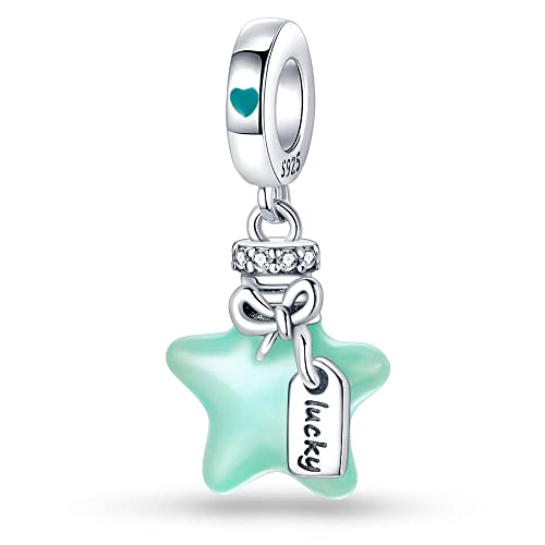 LNQOBU 925 silber Glow in the Dark Glühwürmchen Charms Anhänger,Farbwechselndes Chamäleon Charms Bead Charms Geeignet für Damenarmbänder und Halsketten von LNQOBU