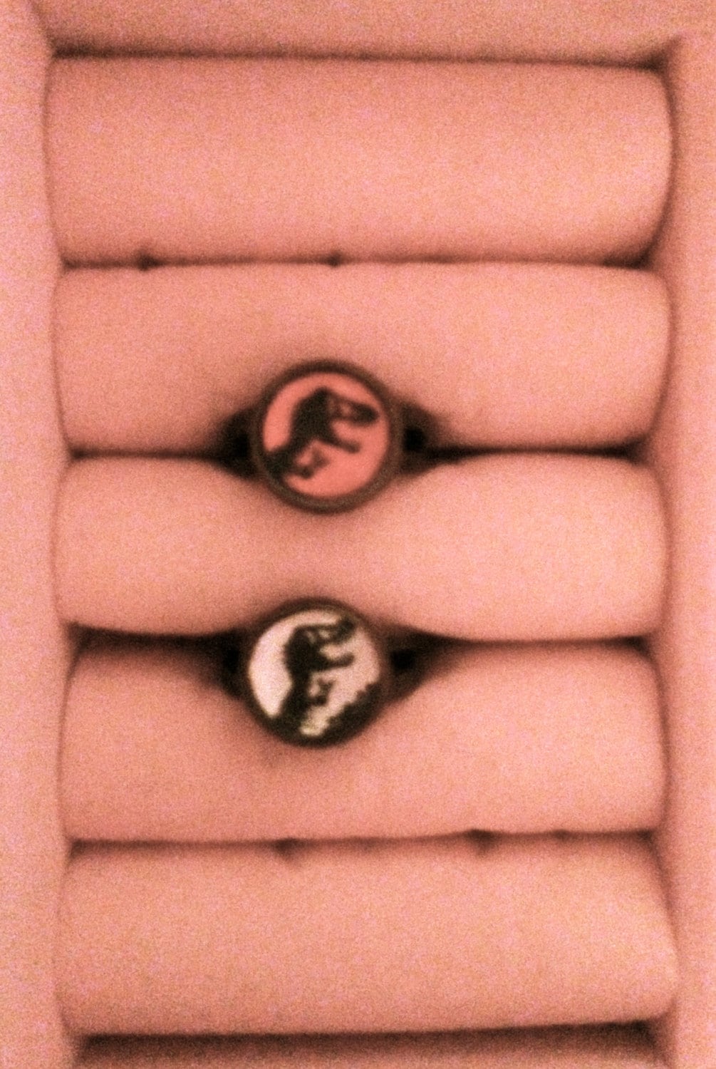 Jurassic Park "Verstellbar' Dinosaurier Ring Jurassic Park "Verstellbar' Dinosaurier Ring von LNTRN