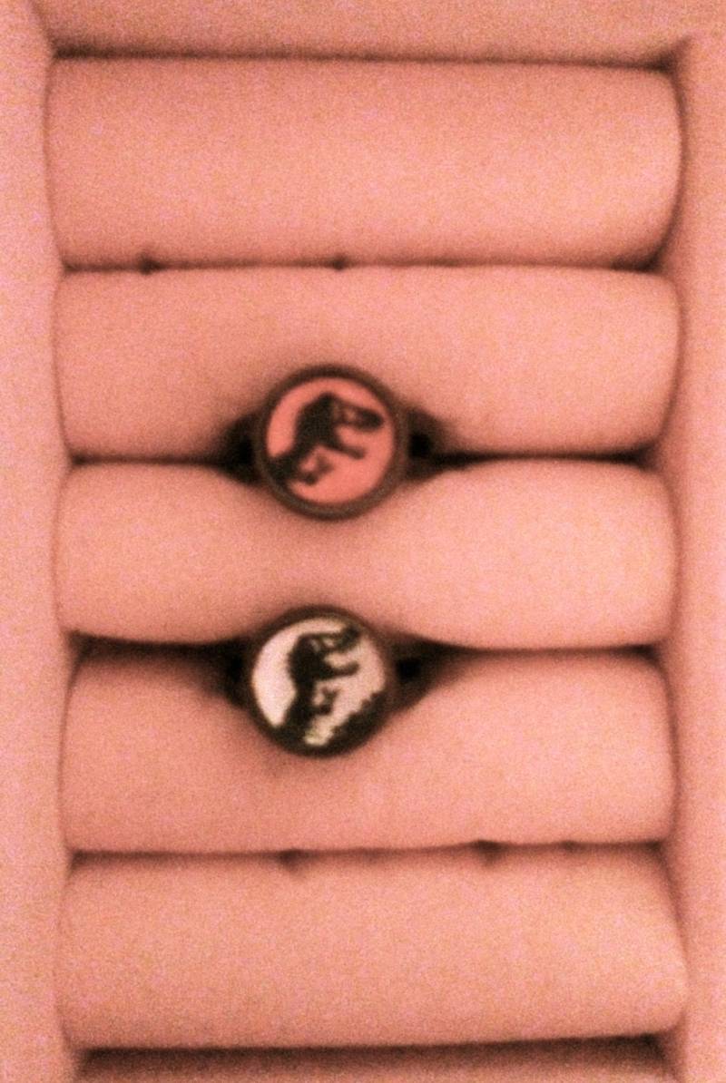 Jurassic Park "Verstellbar' Dinosaurier Ring Jurassic Park "Verstellbar' Dinosaurier Ring von LNTRN
