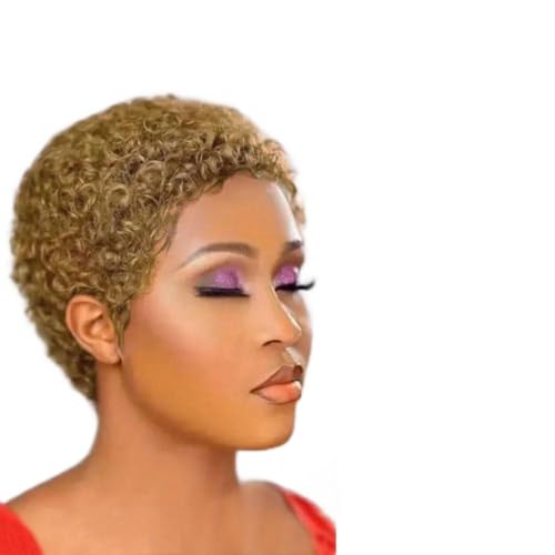 Kurze lockige Bob-Perücke for Frauen, afrikanische kleine lockige Wolle, lockige kurze Perücke Echthaar volle und flauschige, maschinengefertigte Perücke for Frauen Pixie-Schnitt klebefreie Perücke(Go von LOCCHEN
