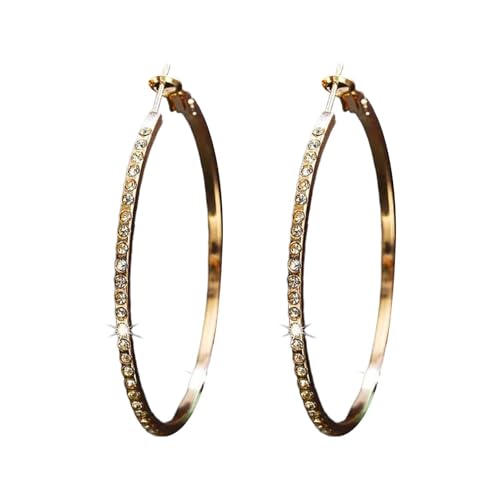 LOIJMK 925 Sterling Silver Earrings For Women Full Dangle Round Hoop Earrings For Her Lustige Ohrringe Tiere (A, One Size) von LOIJMK