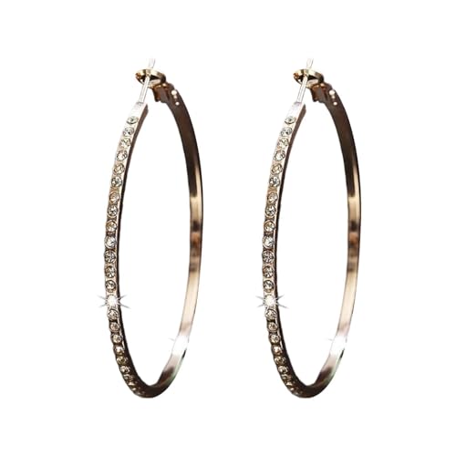 LOIJMK 925 Sterling Silver Earrings For Women Full Dangle Round Hoop Earrings For Her Lustige Ohrringe Tiere (B, One Size) von LOIJMK