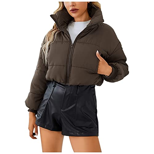 LOIJMK Damen Puffer Jacke Winter Kurz Langarm Damen Cropped Fit Pufferjacke mit Breitem Lässige Modern Frauen Winterjacke Steppjacke Jacke Winter Puffer Jacket Warm mit Kapuze Outdoorjacke von LOIJMK