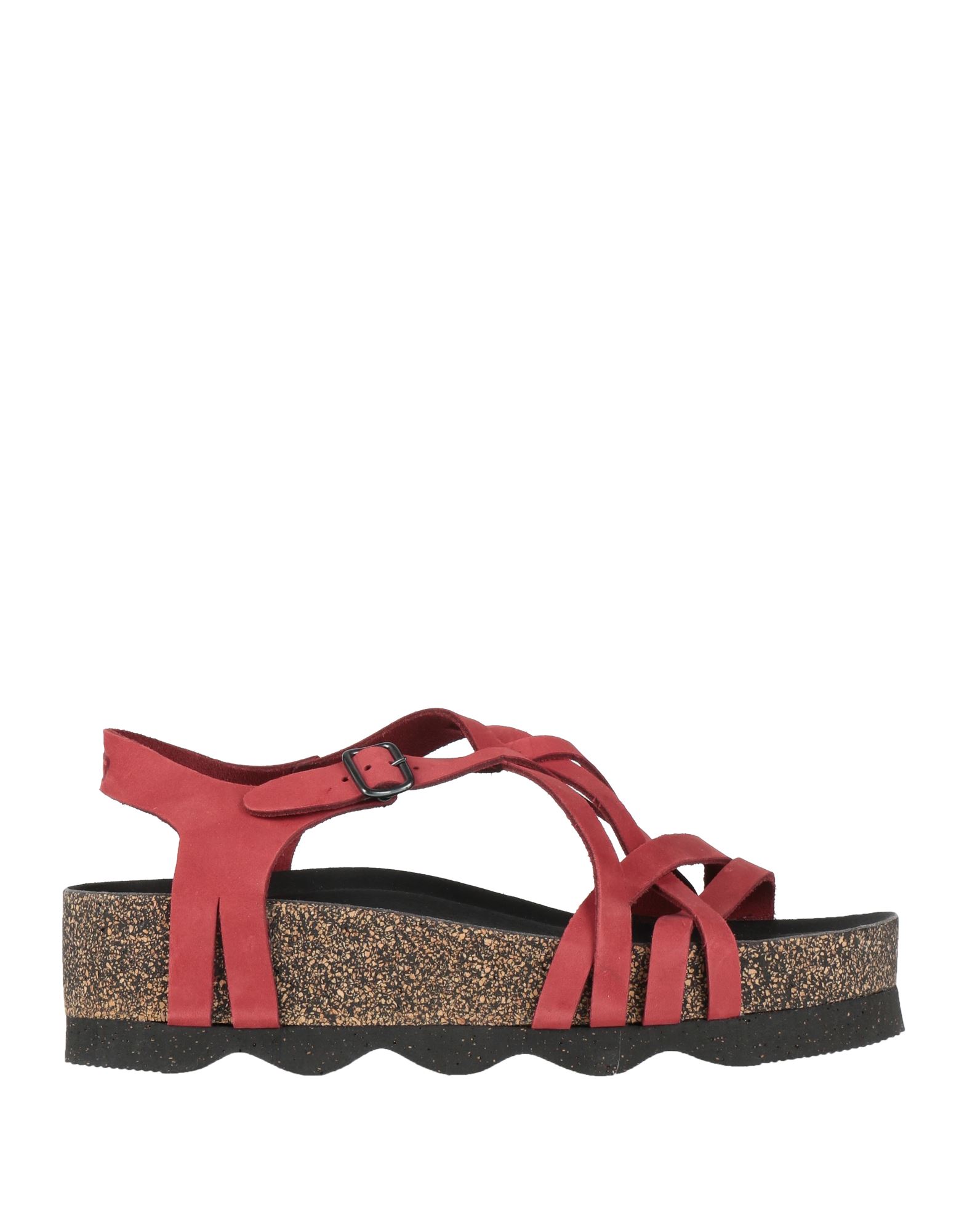 LOINTS OF HOLLAND Sandale Damen Rot LOINTS OF HOLLAND Sandale Damen Rot von LOINTS OF HOLLAND