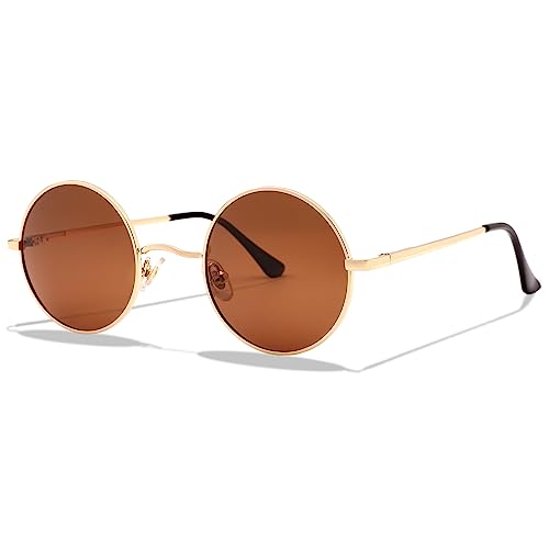 LOJUDI Polarisiert Sonnenbrille Rund Herren und Damen Retro Klein Runde Gläser Vintage Brille mit Metallrahmen UV400 Schutz (Gold/Braun Gläser) von LOJUDI