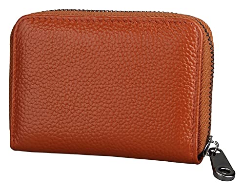 LOKAXXZU Visitenkartenkoffer Leder Multifunktionen Bankhalter Kreditpass Organizer Brieftasche (Brown) von LOKAXXZU