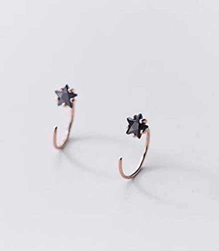 Ohrringe für Juweliergeschenke Accessoire, Ohrringe, Damen Diamant Herzform Mode S925 Stud Ohrringe, Rose, 925 von LOKAXXZU