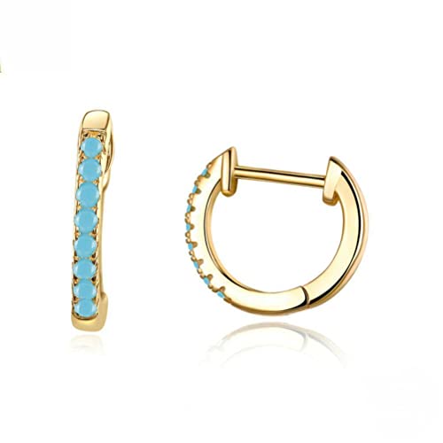 Ohrringe für Juweliergeschenke Zubehör, kleiner Kreis 925 Ohrringe, einfache und modische Ohrringe, + blauer Diamant, 925 von LOKAXXZU