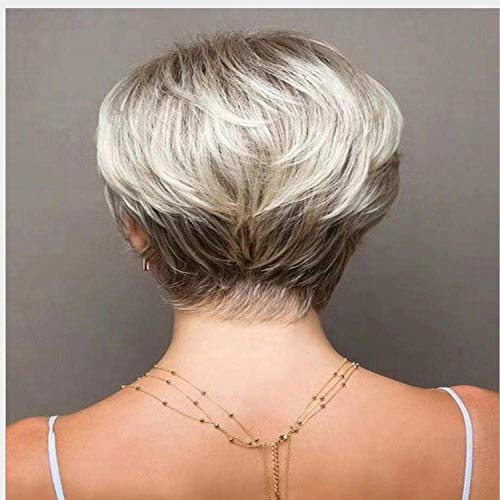 Perücke Halloween Isa Perücke gemischte braune und blonde lange Perücken für weiße/schwarze Frauen mittlerer Teil Natur Perücken kurz weißes Haar von LOKAXXZU