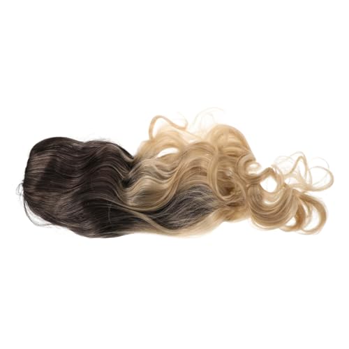 LOLIPPYY Lange Gewellte Perücke Für Damen Farbverlaufsdesign Hochtemperaturfaser Gerade Fransen Fließende Wellen Sichere Kappe Partys Cosplay Alltag von LOLIPPYY