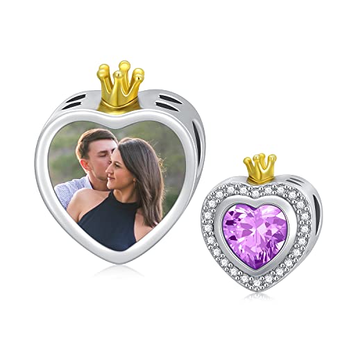 LONAGO Personalisierte Foto Charm Fit Charm Armband 925 Sterling Silber Simulierter Geburtsstein Bead Charm Schmuck (Februar) von LONAGO