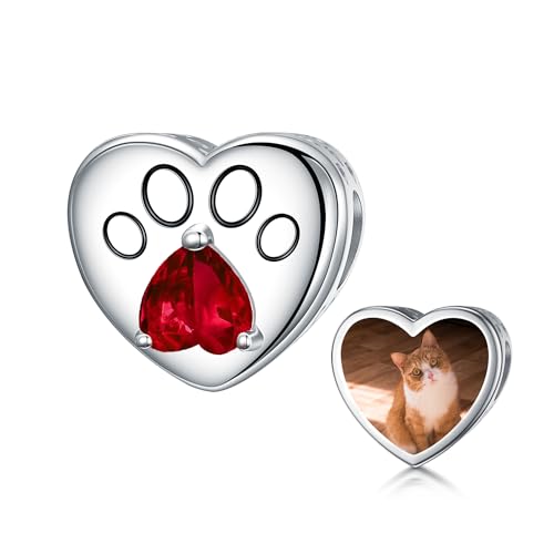 LONAGO Personalisierte Foto Charme 925 Sterling Silber Benutzerdefinierte Geburtsstein mit Pfote Charme für Haustier (Januar) von LONAGO