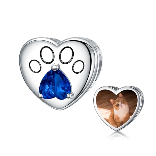 LONAGO Personalisierte Foto Charme 925 Sterling Silber Benutzerdefinierte Geburtsstein mit Pfote Charme für Haustier (September) von LONAGO
