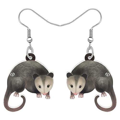 LONYOO Acryl Cute Possum Ohrringe Dangle Charms Opossum Schmuck Geschenke für Frauen Mädchen (Pebble) von LONYOO