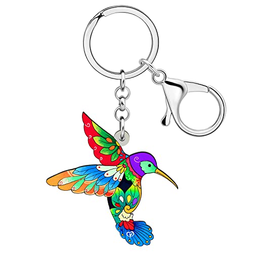 LONYOO Acryl Fliegender Kolibri Schlüsselanhänger Geldbörse Autoschlüssel Vogel Schmuck Frühling Geschenke für Frauen Mädchen Charms (Mehrfarbig) von LONYOO