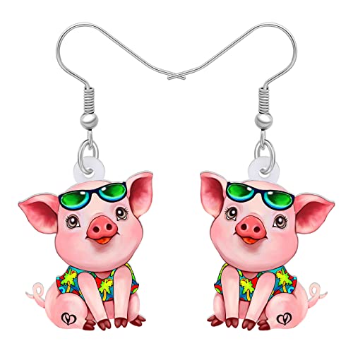 LONYOO Acryl Rosa Schwein Ohrringe baumeln niedlich Schwein Schmuck für Mädchen Frauen Schwein Geschenke (Sommer) von LONYOO