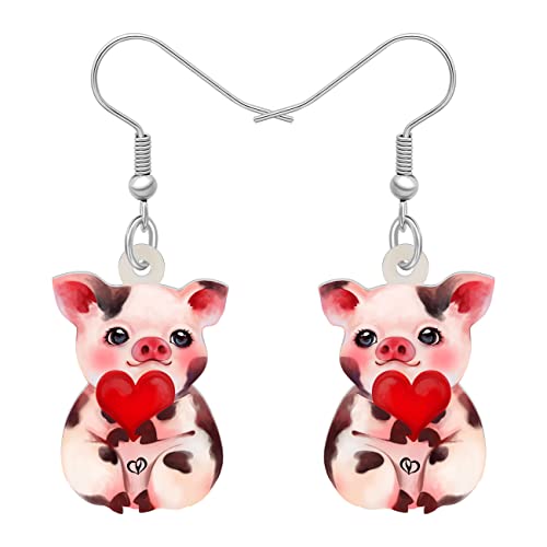 LONYOO Acryl Rosa Schwein Ohrringe baumeln niedlich Schwein Schmuck für Mädchen Frauen Schwein Geschenke (Valentinstag) von LONYOO