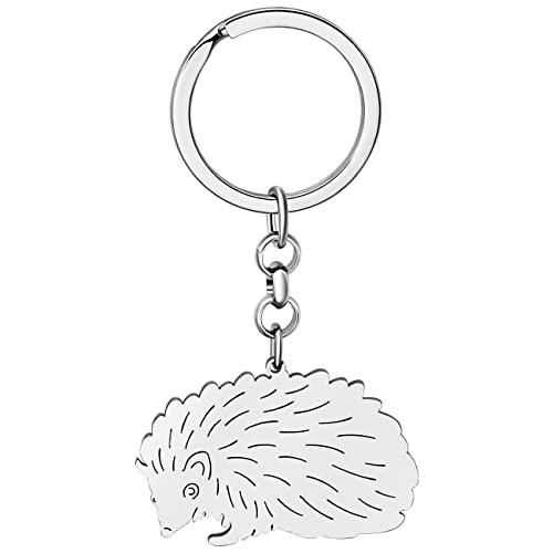 LONYOO Cute Igel Schlüsselanhänger Edelstahl Igel Geschenke für Frauen Mädchen Handtasche Autoschlüssel Charms (Versilbert) von LONYOO