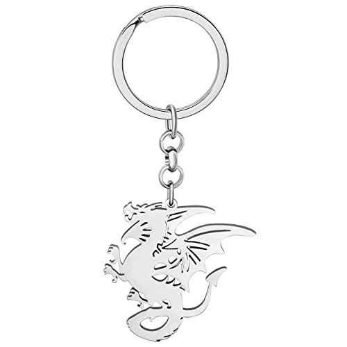 LONYOO Walisischer Drache Schlüsselanhänger Edelstahl Fantasie Drachen Dinosaurier Geschenke für Frauen Mädchen Autoschlüssel Charms (Versilbert 021) von LONYOO