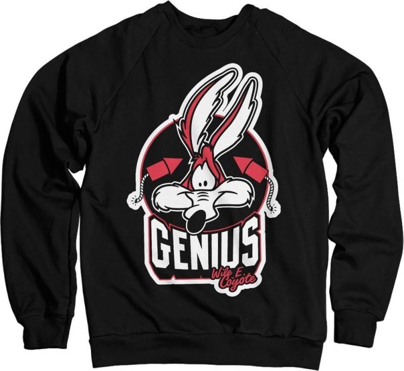 LOONEY TUNES Rundhalspullover von LOONEY TUNES